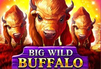 Big Wild Buffalo